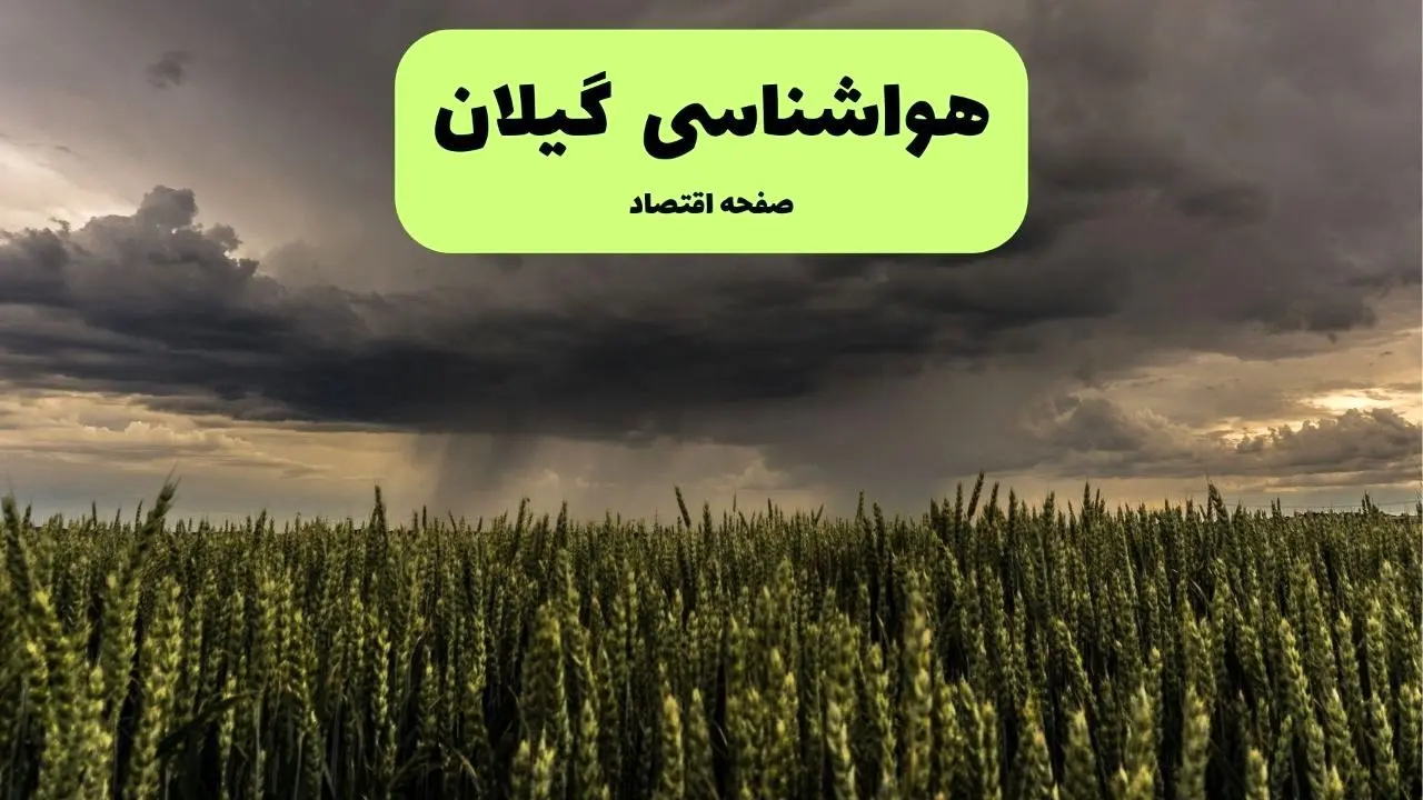 پیش بینی وضعیت آب و هوا گیلان فردا پنجشنبه ۲۶ تیر ۱۴۰۴ | هواشناسی گیلان و رشت ۲۴ ساعت آینده اعلام شد