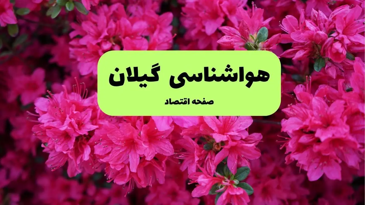 هواشناسی گیلان ۲۴ ساعت آینده | پیش بینی وضعیت آب و هوا استان گیلان فردا یکشنبه ۲۵ خرداد ماه ۱۴۰۴ 