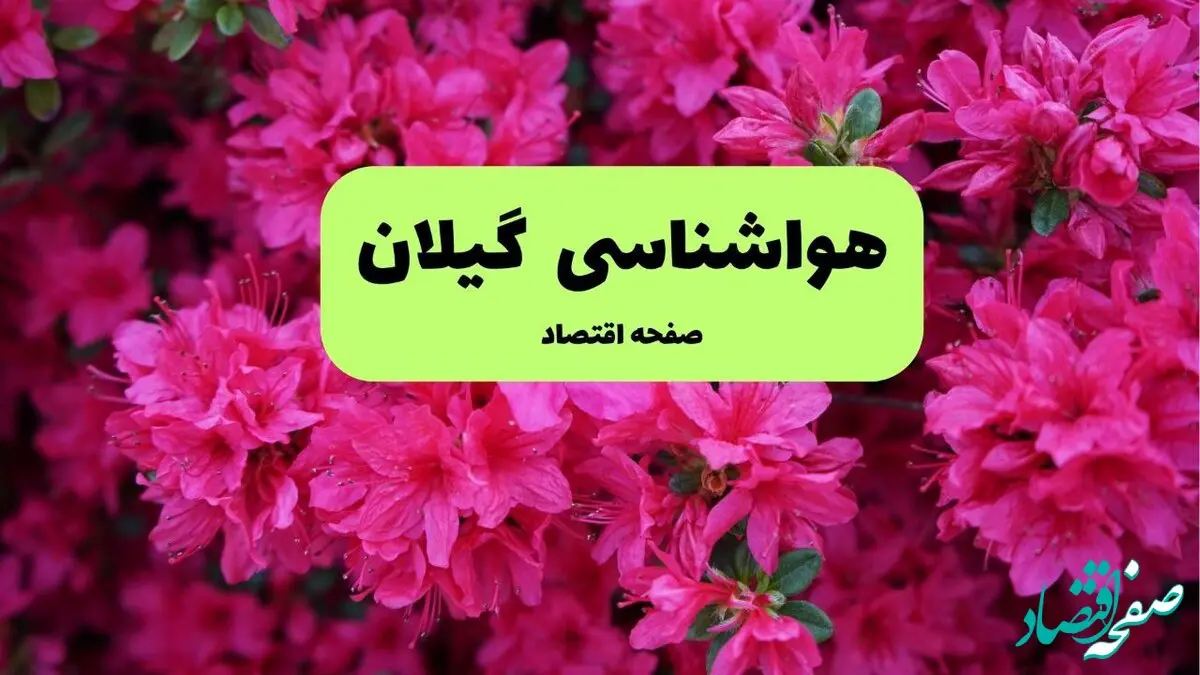 هواشناسی گیلان ۲۴ ساعت آینده | پیش بینی وضعیت آب و هوا استان گیلان فردا یکشنبه ۲۵ خرداد ماه ۱۴۰۴ 