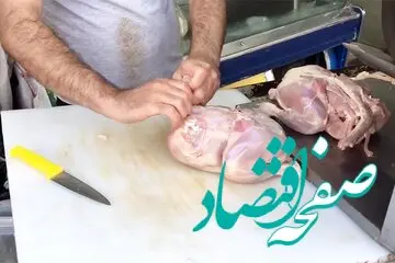 قیمت مرغ تغییر کرد | فیله مرغ چقدر شد؟