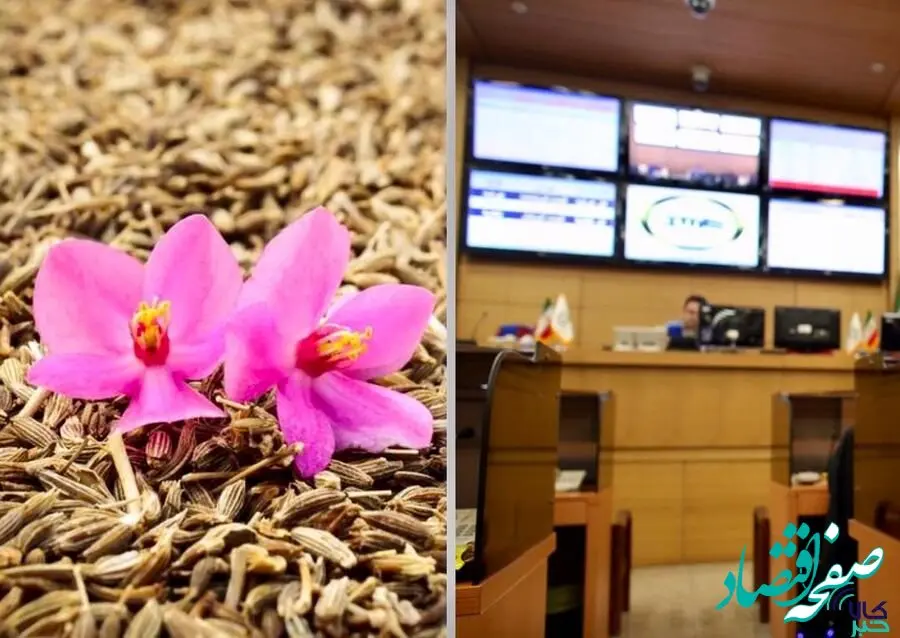 شفافیت قیمت و رشد صادرات زعفران از مسیر بورس کالای ایران