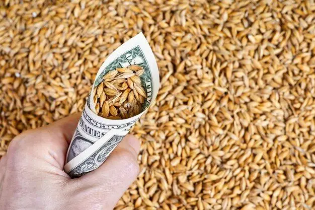 دلار کالاهای اساسی چقدر شد؟ نهاده‌های دامی چقدر گران شدند؟