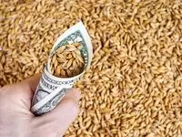 دلار کالاهای اساسی چقدر شد؟ نهاده‌های دامی چقدر گران شدند؟