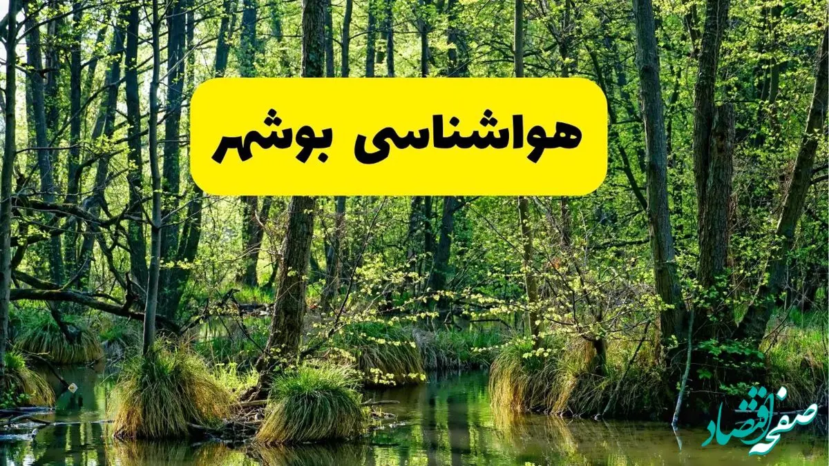 هواشناسی بوشهر ۲۴ ساعت آینده | پیش بینی وضعیت آب و هوا بوشهر فردا دوشنبه ۲۹ اردیبهشت ۱۴۰۴