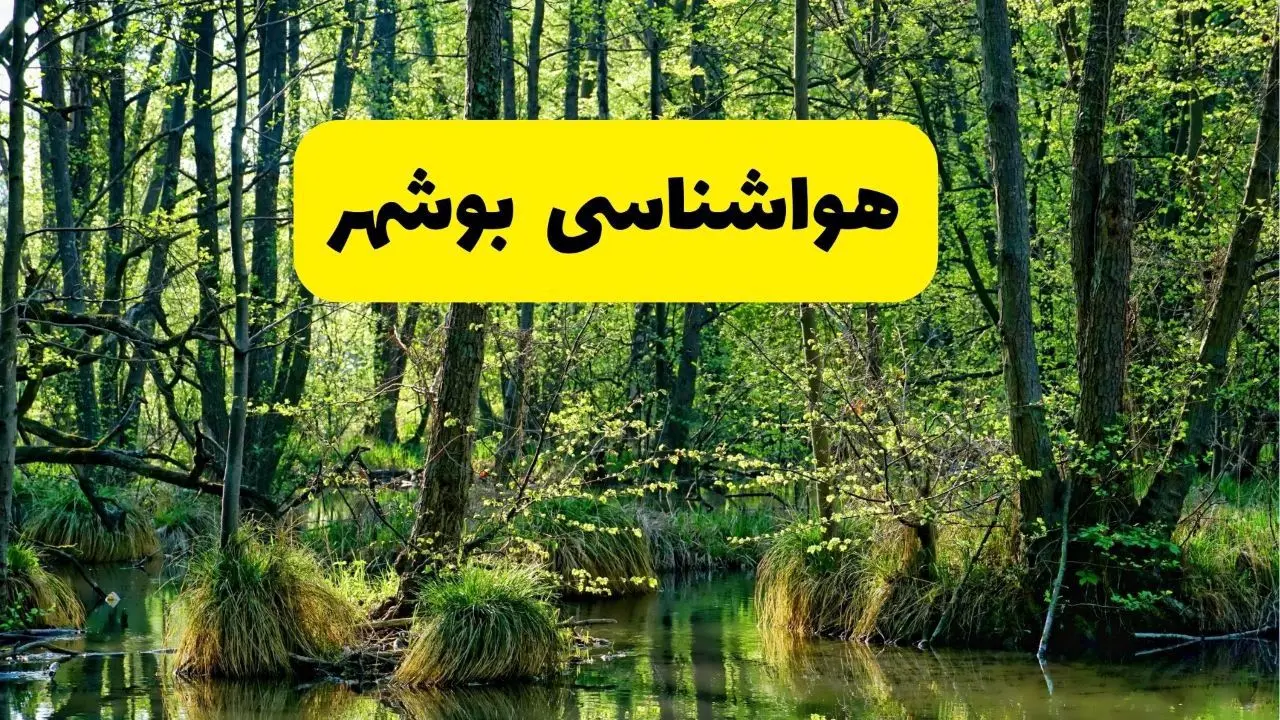 هواشناسی بوشهر ۲۴ ساعت آینده | پیش بینی وضعیت آب و هوا بوشهر فردا دوشنبه ۲۹ اردیبهشت ۱۴۰۴