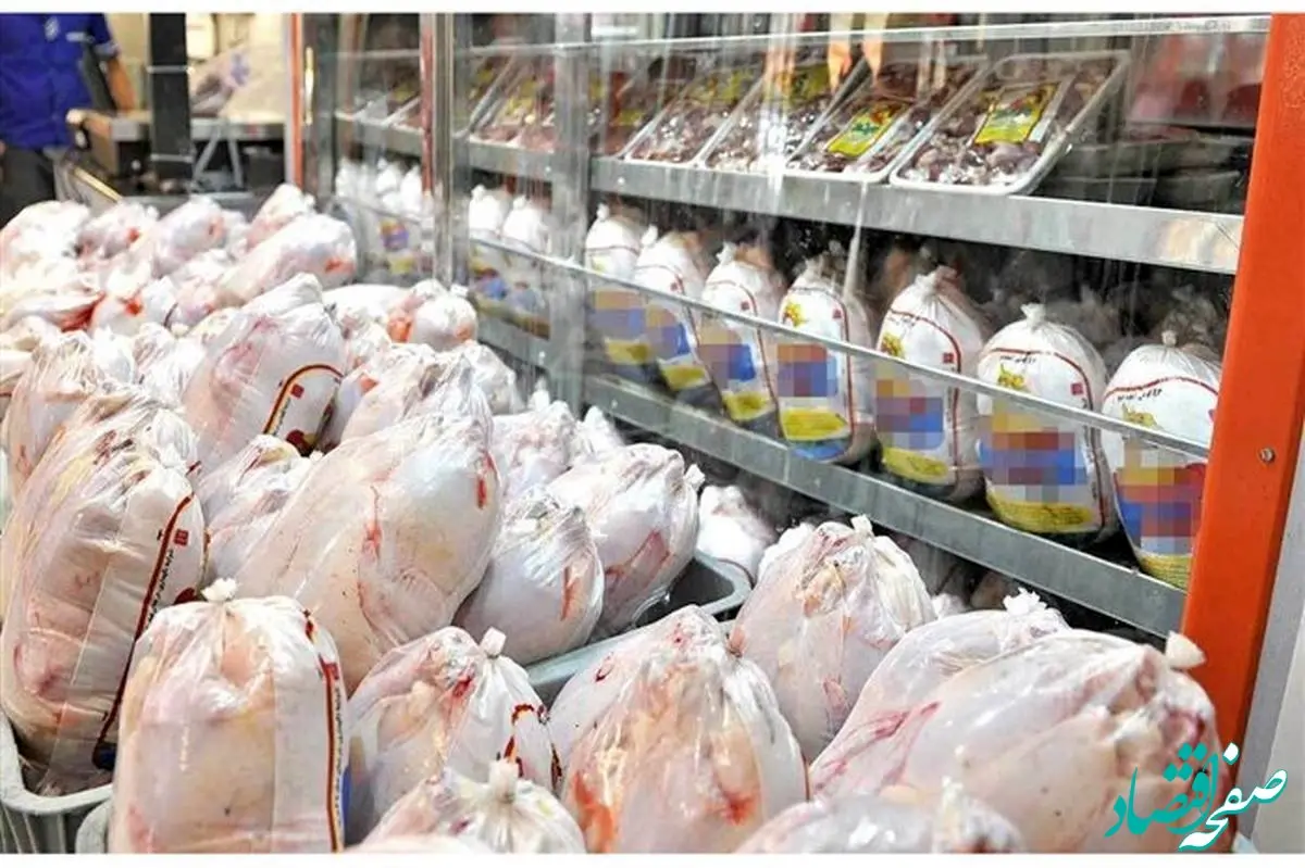 ‌رشد چشمگیر عرضه مرغ در سراسر کشور / آرامش به بازار مرغ بر می‌گردد؟