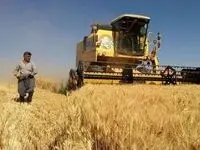 ۱۵۶ هزار میلیارد تومان  بودجه خرید گندم چگونه تامین شد ؟ 