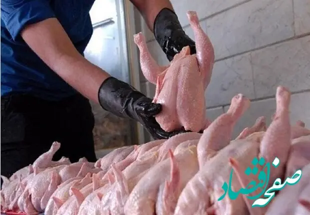 قیمت مرغ در ایام محرم اعلام شد/ ۱۴ تیر ۱۴۰۴ + جزییات