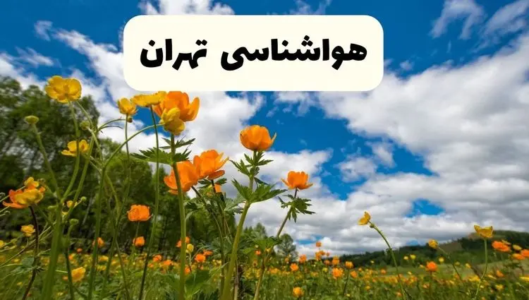 وضعیت آب و هوا تهران فردا پنجشنبه ۱۳ فروردین ماه ۱۴۰۵ | پیش بینی هواشناسی تهران ۲۴ ساعت آینده | آب و هوای تهران در روز سیزده بدر 