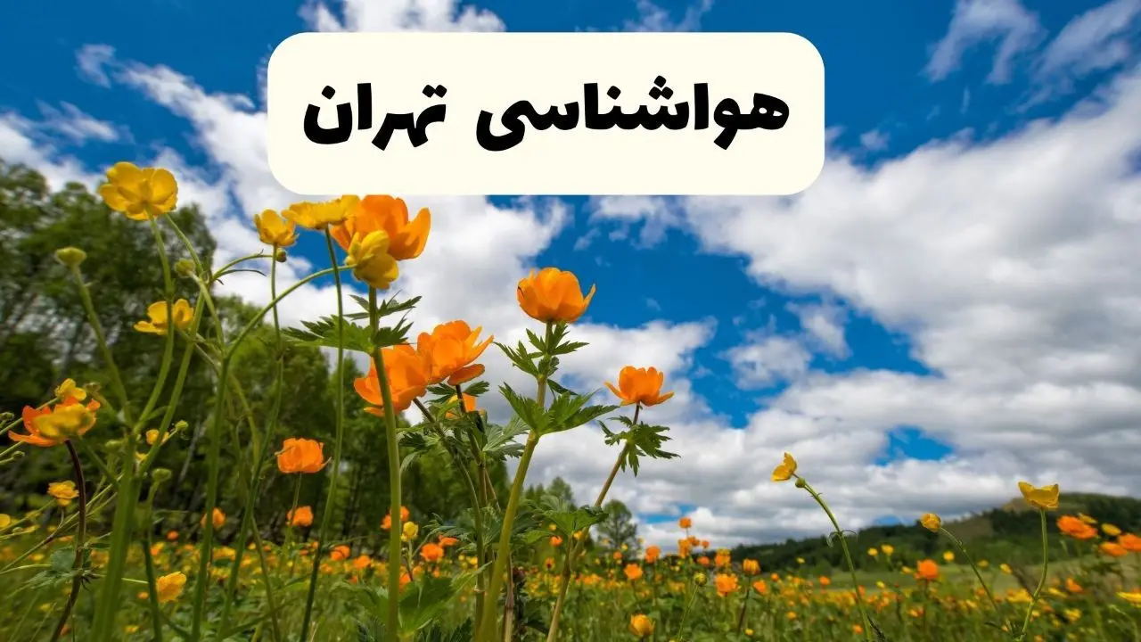 پیش بینی وضعیت آب و هوا تهران فردا پنجشنبه ۱۸ اردیبهشت ماه ۱۴۰۴ + جدول هواشناسی تهران ۲۴ ساعت آینده
