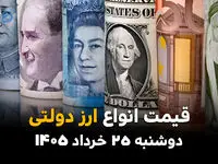 قیمت ارز دولتی امروز دوشنبه ۲۵ خرداد ۱۴۰۵ | یورو در چه مسیری حرکت می‌کند؟
