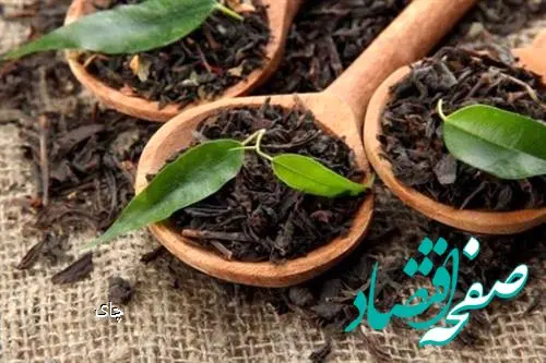 صادرات چای به‌صورت مشروط مجاز شد
