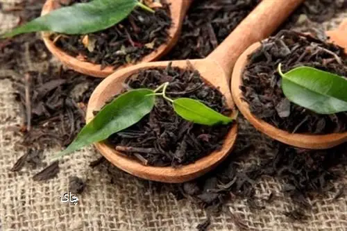 صادرات چای به‌صورت مشروط مجاز شد
