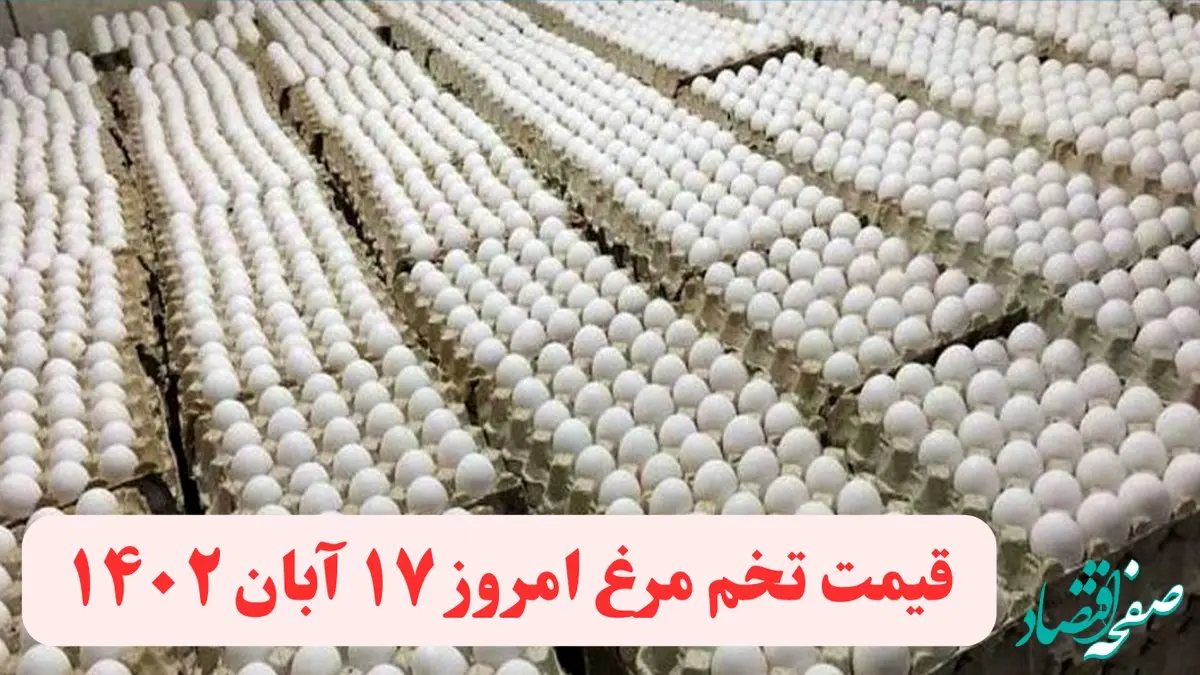 قیمت تخم مرغ امروز چهارشنبه ۱۷ آبان ۱۴۰۲ 