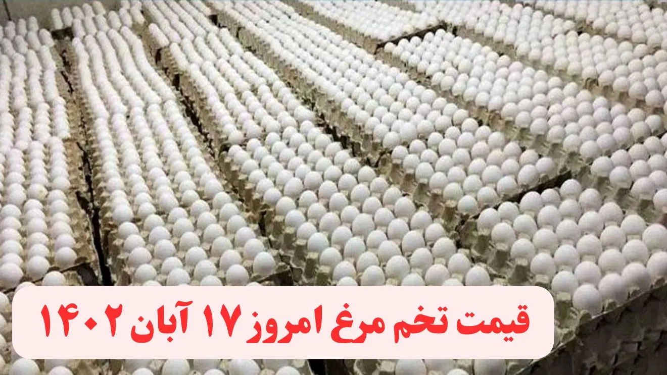 قیمت تخم مرغ امروز چهارشنبه ۱۷ آبان ۱۴۰۲ 