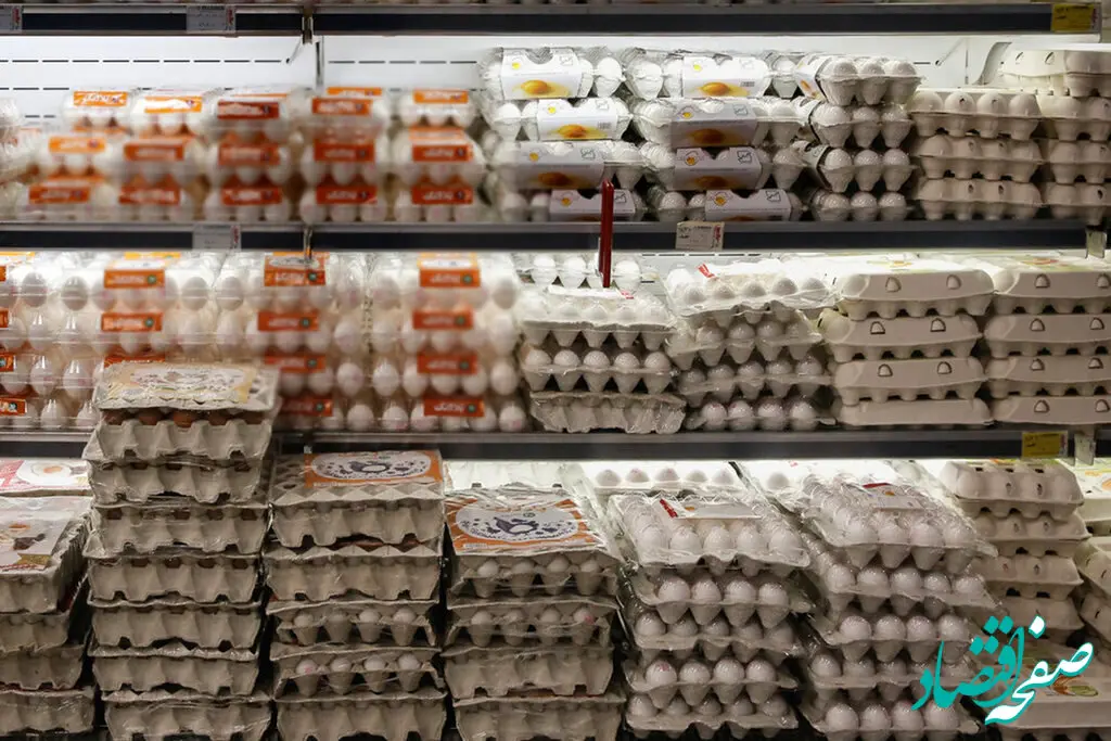 گرانی تخم مرغ قبل از تصویب ستاد تنظیم بازار