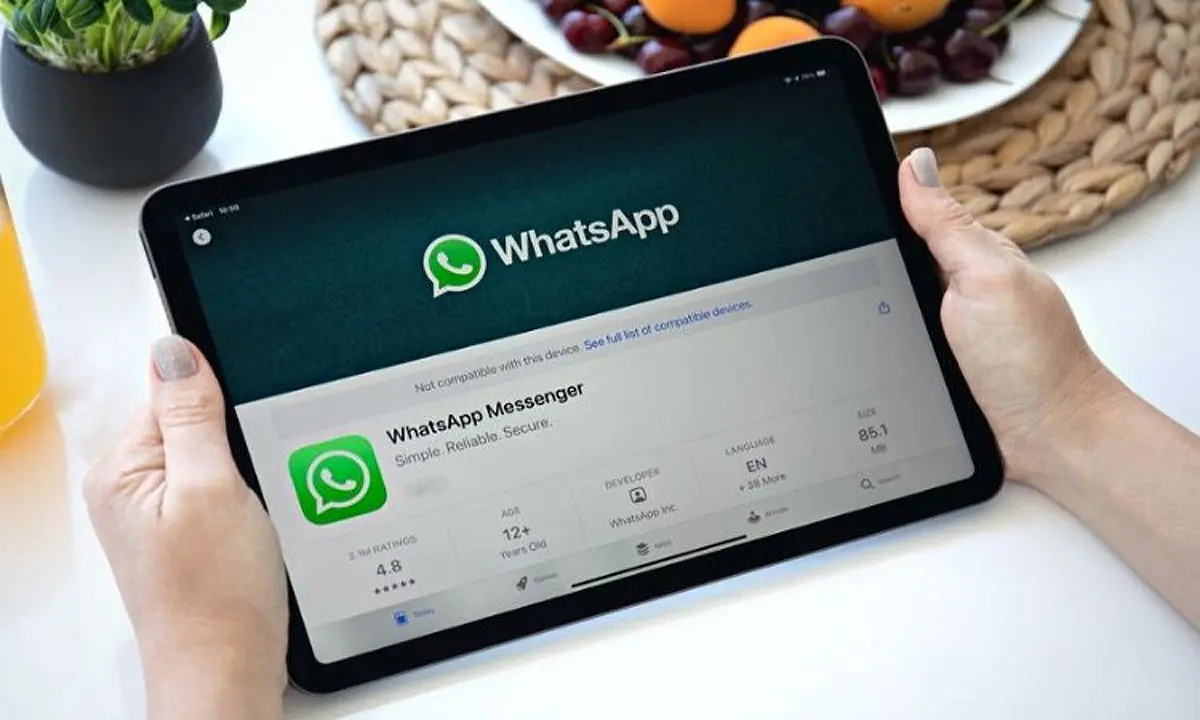 عرضه واتس اپ برای آی پد