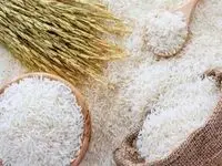 ارز برنج وارداتی نیمایی است/ افزایش واردات جهت تعادل بازار برنج در سال گذشته