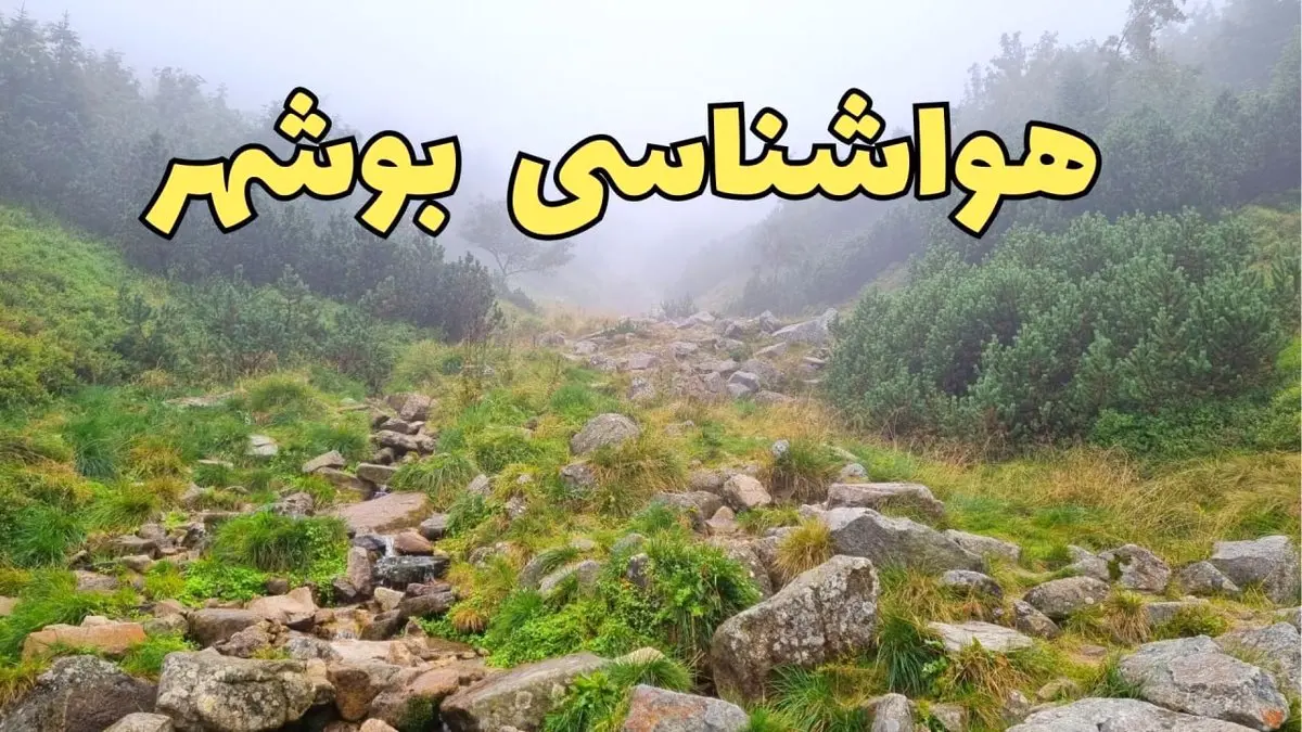 پیش بینی وضعیت آب و هوا بوشهر فردا شنبه ۱۸ اسفند ماه ۱۴۰۳ | اخبار پیش‌ بینی هواشناسی بوشهر فردا 