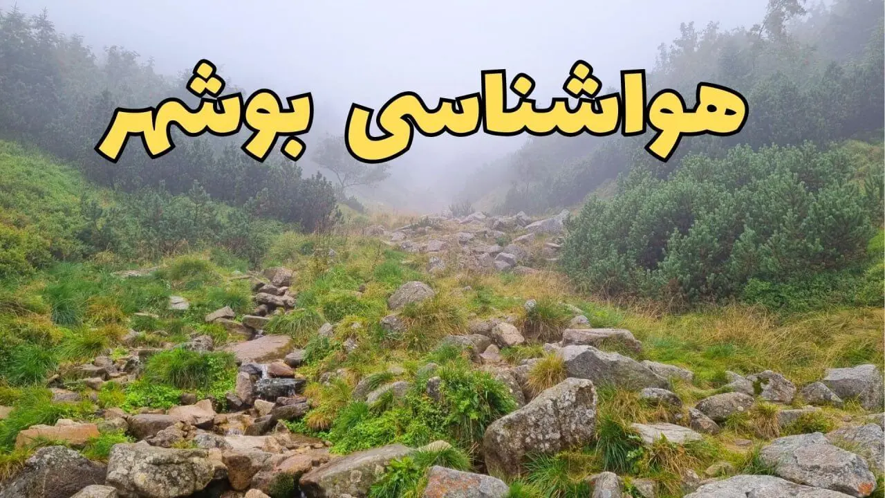 پیش بینی وضعیت آب و هوا بوشهر فردا شنبه ۱۸ اسفند ماه ۱۴۰۳ | اخبار پیش‌ بینی هواشناسی بوشهر فردا 