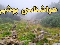 پیش بینی وضعیت آب و هوا بوشهر فردا شنبه ۱۸ اسفند ماه ۱۴۰۳ | اخبار پیش‌ بینی هواشناسی بوشهر فردا 