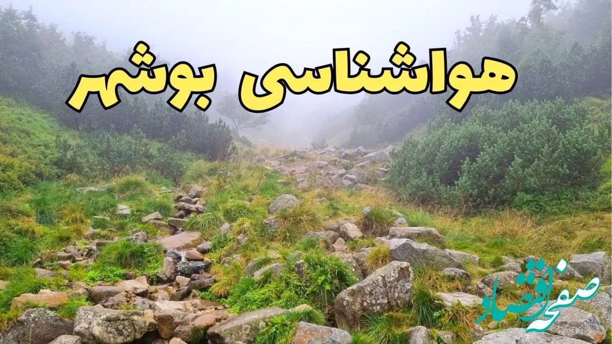 پیش بینی وضعیت آب و هوا بوشهر فردا شنبه ۱۸ اسفند ماه ۱۴۰۳ | اخبار پیش بینی هواشناسی بوشهر فردا