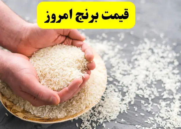 بروزترین قیمت برنج هندی امروز جمعه ۱ اسفند ۱۴۰۴  | برنج هندی کیلویی چند؟ 