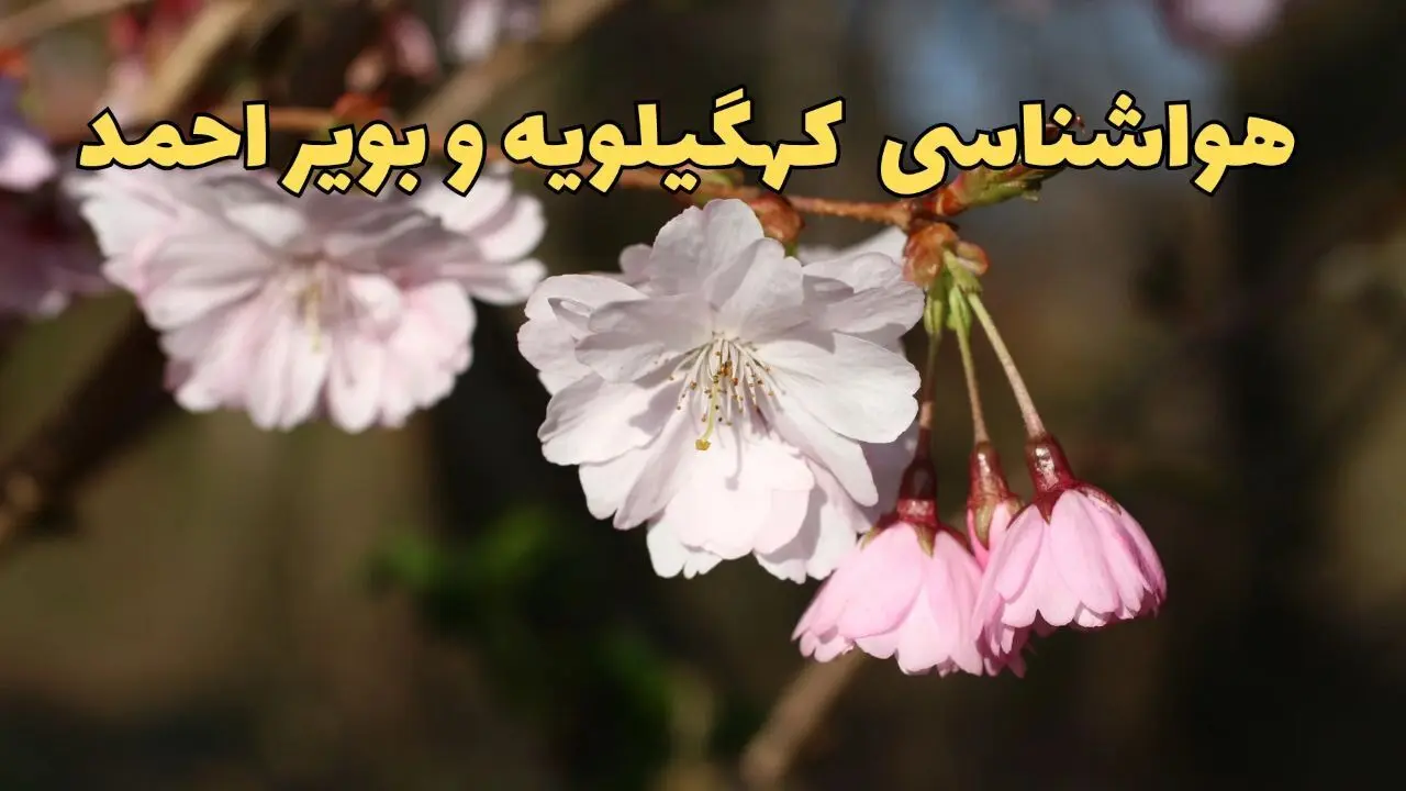 پیش بینی هواشناسی یاسوج ۲۴ ساعت آینده | وضعیت آب و هوا کهگیلویه و بویراحمد فردا سه شنبه ۱۲ فروردین ماه ۱۴۰۴ | آب و هوای یاسوج در روز ۱۳ بدر + هواشناسی کهگیلویه و بویراحمد