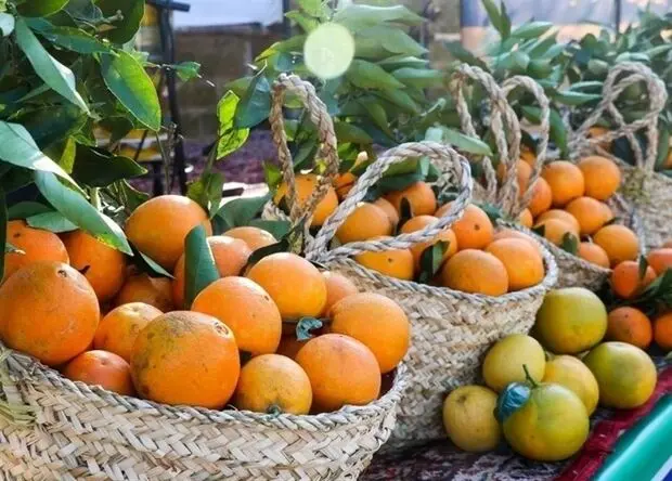تلفیق فساد و سوءمدیریت باعث خسارت به بیت‌المال است
