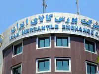 بورس کالا خانه دلالان است یا بهانه‌ای برای بازار سیاه | دلایل کارشناسان برای حذف کالای استراتژیک از بورس کالا