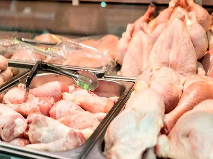 قیمت هر کیلو گرم گوشت گرم در کرمانشاه چقدر است ؟ / توزیع مرغ یخی در بازار مشخص شد 