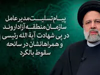 پیام مدیرعامل سازمان منطقه آزاد اروند در سوگ شهادت رئیس جمهور و یاران خدوم و صدیق انقلاب و مردم

