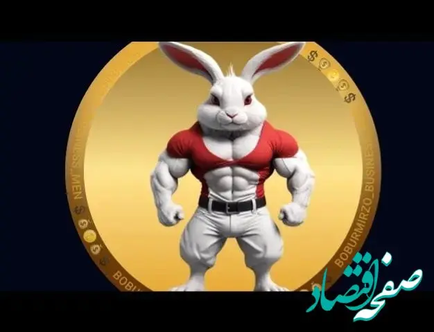 پاسخ انیگما راکی رابیت روزانه پنجشنبه ۲۲ شهریور