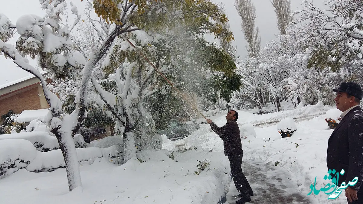 توصیه‌های مهم برای باغداران!/احتمال شکستن درختان در روزهای برفی