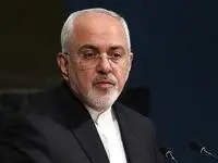 وقتی ظریف حسابی ناز کرد! ؛ ناگزیر شدم در دولت... 
