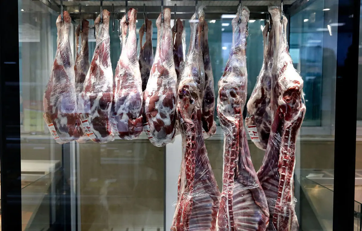 قیمت گوشت وارداتی امروز پنجشنبه ۱۹ بهمن ماه ۱۴۰۲ | گوشت گوسفندی کیلو چند؟ 