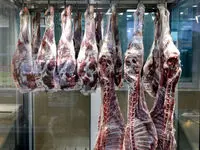 قیمت گوشت وارداتی امروز پنجشنبه ۱۹ بهمن ماه ۱۴۰۲ | گوشت گوسفندی کیلو چند؟ 