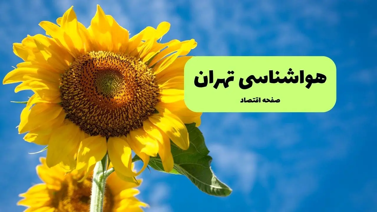 هواشناسی تهران یکشنبه | پیش بینی آب و هوا تهران فردا یکشنبه ۱۹ مرداد ۱۴۰۴ 