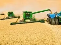 هفته آینده باقی مانده مطالبات گندمکاران پرداخت می شود / هر کیلو گندم با قیمت ۱۵ هزار تومان
