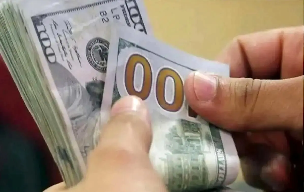 پیش بینی قیمت دلار فردا یکشنبه ۳۰ دی ۱۴۰۳ / فردا دلار منفجر می شود؟ / دلار گران می شود؟