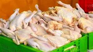 نرخ منطقی مرغ ۳۶۰ هزار تومان؛ تداوم قیمت‌های بالای ۴۰۰ هزار تومان ناشی از وعده‌های محقق‌نشده دولت