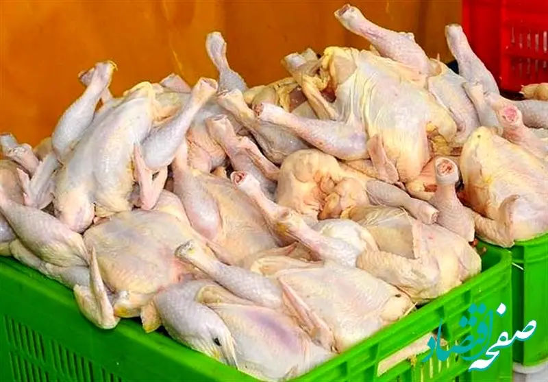 نرخ منطقی مرغ ۳۶۰ هزار تومان؛ تداوم قیمت‌های بالای ۴۰۰ هزار تومان ناشی از وعده‌های محقق‌نشده دولت