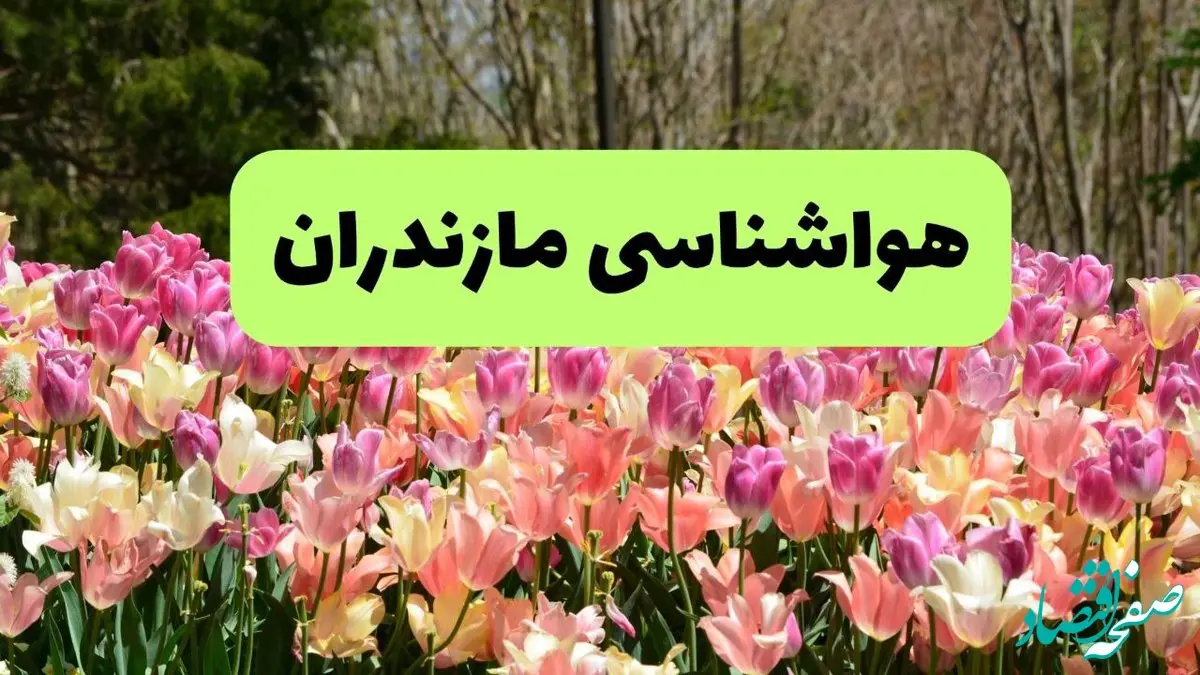 خبر فوری هواشناسی مازندران ۲۴ ساعت آینده | پیش بینی وضعیت آب و هوا مازندران فردا شنبه ۱۷ خرداد ماه ۱۴۰۴ 