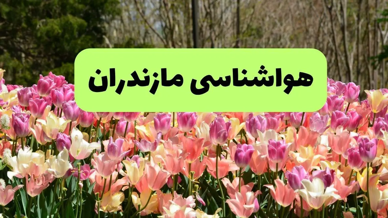 خبر فوری هواشناسی مازندران ۲۴ ساعت آینده | پیش بینی وضعیت آب و هوا مازندران فردا شنبه ۱۷ خرداد ماه ۱۴۰۴ 