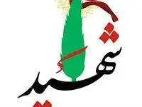 مادر کودک شهید مینابی: ترامپ و اسرائیل بدانند در خون کودکان این سرزمین غرق می شوند + ویدئو