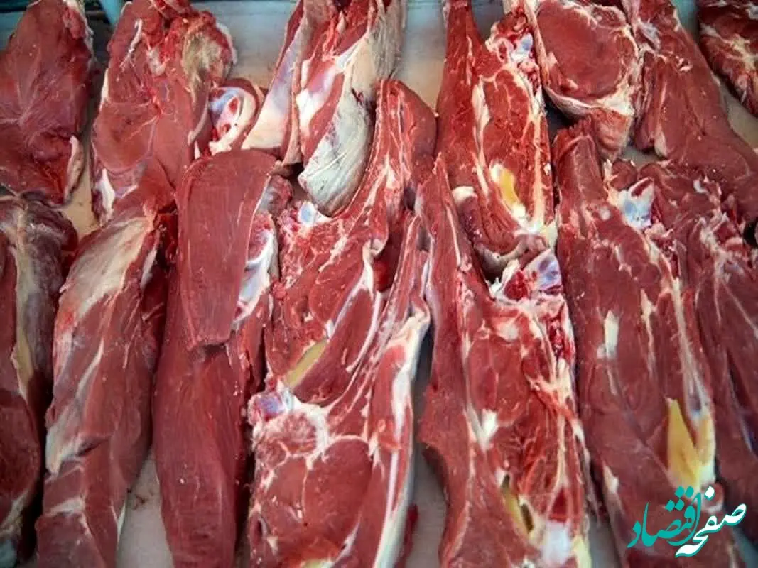 قیمت ها در بازار گوشت ارزان شد | دام زنده چقدر ارزان شد؟ 