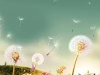 شمارش معکوس برای پایان جشنواره حساب های قرض‌الحسنه بانک اقتصادنوین؛ تنها ۳ روز فرصت باقی است