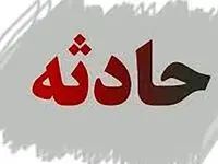 سلفی پدر ،قاتل جان پسر ۱۶ ساله شد!
