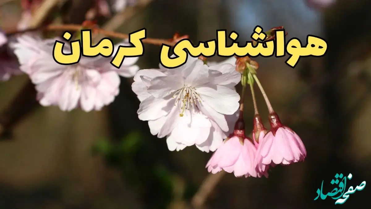 پیش بینی هواشناسی کرمان ۲۴ ساعت آینده | وضعیت آب و هوا کرمان فردا سه شنبه ۱۲ فروردین ماه ۱۴۰۴ | آب و هوای کرمان در روز ۱۳ بدر 