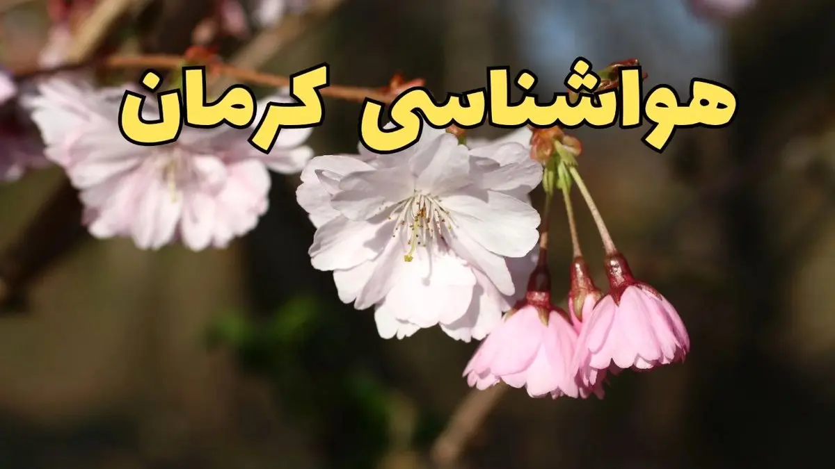 خبر فوری از پیش بینی هواشناسی کرمان ۲۴ ساعت آینده اعلام شد | وضعیت آب و هوا کرمان فردا شنبه ۳۰ فروردین ماه ۱۴۰۴ | آب و هوای کرمان